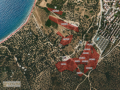 DİKİLİ BADEMLİ'DE 35.568 M² KOMPLE SATILIK ARAZİ FIRSATI